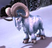 Image of Tundra Ram