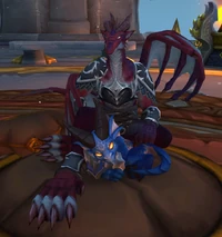 Image of Venderthvan