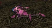 Darnassian Archer dead