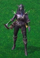 Night elf runner