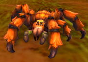 Redridge Tarantula