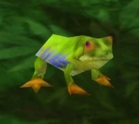 Image of Spotted Bell Frog