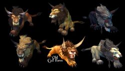 Cat Form Wowpedia Your wiki guide to the World of Warcraft