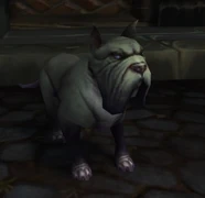 Worgen Hound