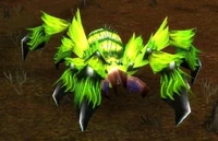 Image of Deepmoss Webspinner