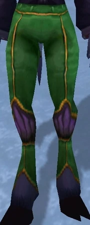 Dragonflight Leggings