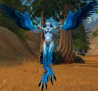 Image of Witchwing Windcaller