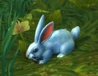 Image of Glitterfur Rabbit