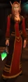 A female blood elf.
