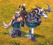 Prestigious Ivory Courser