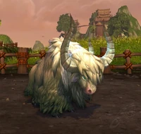 Image of Prize Shagskin