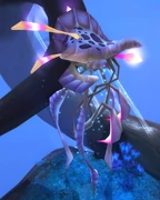 The Lonely Matriarch