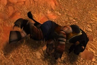 Image of Dead Taurajo Refugee