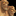 IconSmall Ettin.gif