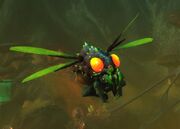 Infected Corpsefly