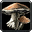 Inv mushroom 01