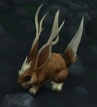 Image of Stormsoaked Rabbit