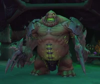 Image of Toc the Incessant