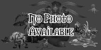 No image available