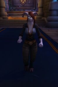 Image of Exodar Adventurer