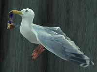 Image of Highwind Albatross