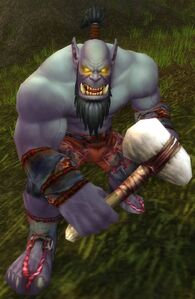 Image of Dragonmaw Raider