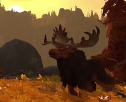 Moose.jpg