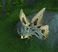 Image of Singing Moth