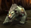 Ruul in bear form (current model).