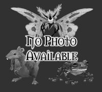 No image available