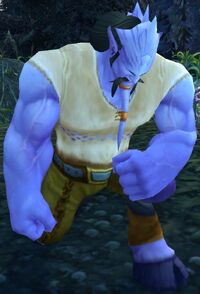 Image of Draenei Mourner