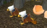 Image of Wildhammer Gryphon Hatchling