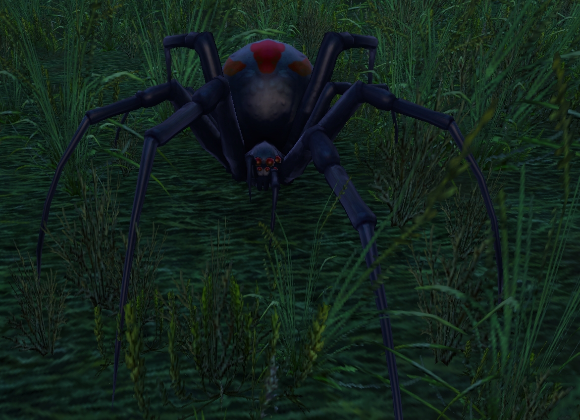 Black widow spider wow