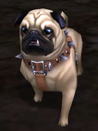 Image of Chian Chian