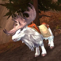 Image of Frightened Mountainstrider