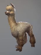 Alpaca concept