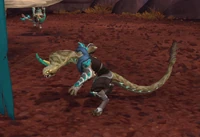 Image of Champion Aspirant