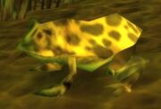 Huge Toad.jpg