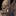 IconSmall OrcGray Male.gif