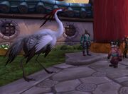 The Crane and Li Li in World of Warcraft.