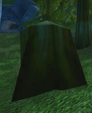 Mysterious Tree Stump