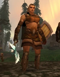Image of Winterskorn Shield-Maiden