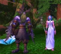 Tyrande and Malfurion witness Thrall and Aggra become life mates.