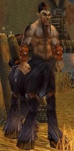 Image of Verog the Dervish