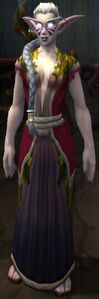 Image of Innkeeper Aelerya