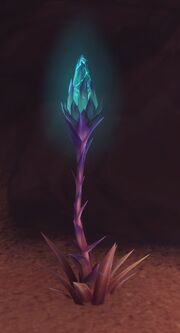 Akunda's Bite