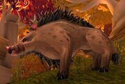 Apprentice Meledor (boar)