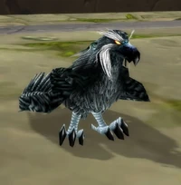Image of Druid of the Talon