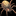 IconSmall Spider.gif