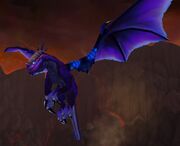 Twilight drake in the Obsidian Sanctum